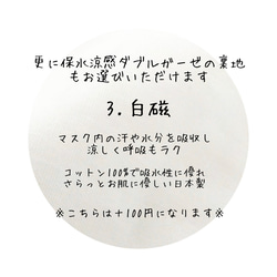 大人 マスク ポケット付きマスク ふわさら ノンホルマリン ワイヤー 国産 リバティ ベッツィベリー 5枚目の画像