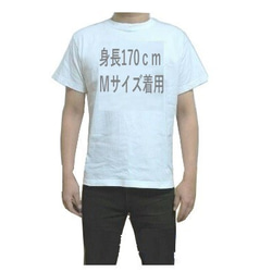 送料無料 癒しネコTシャツ　5.6オンス　ダブルステッチで伸びにくい襟使用　M.L.LL 3枚目の画像