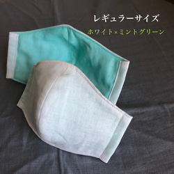立体ガーゼマスク 日本製ダブルガーゼ ホワイト ×ミントグリーン レギュラーサイズ 1枚目の画像