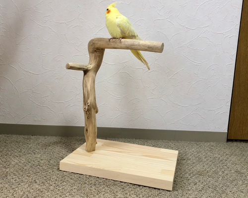 流木の止まり木】小鳥 バードスタンド 中型インコに！おもちゃを