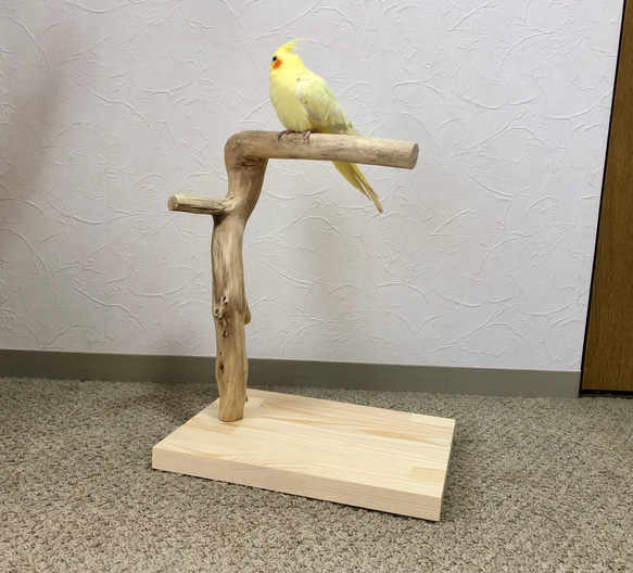 【流木の止まり木】小鳥 バードスタンド 中型インコに！おもちゃをつけてカスタマイズも！ 1枚目の画像