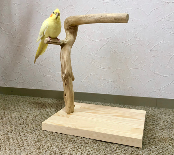 【流木の止まり木】小鳥 バードスタンド 中型インコに！おもちゃをつけてカスタマイズも！ 4枚目の画像