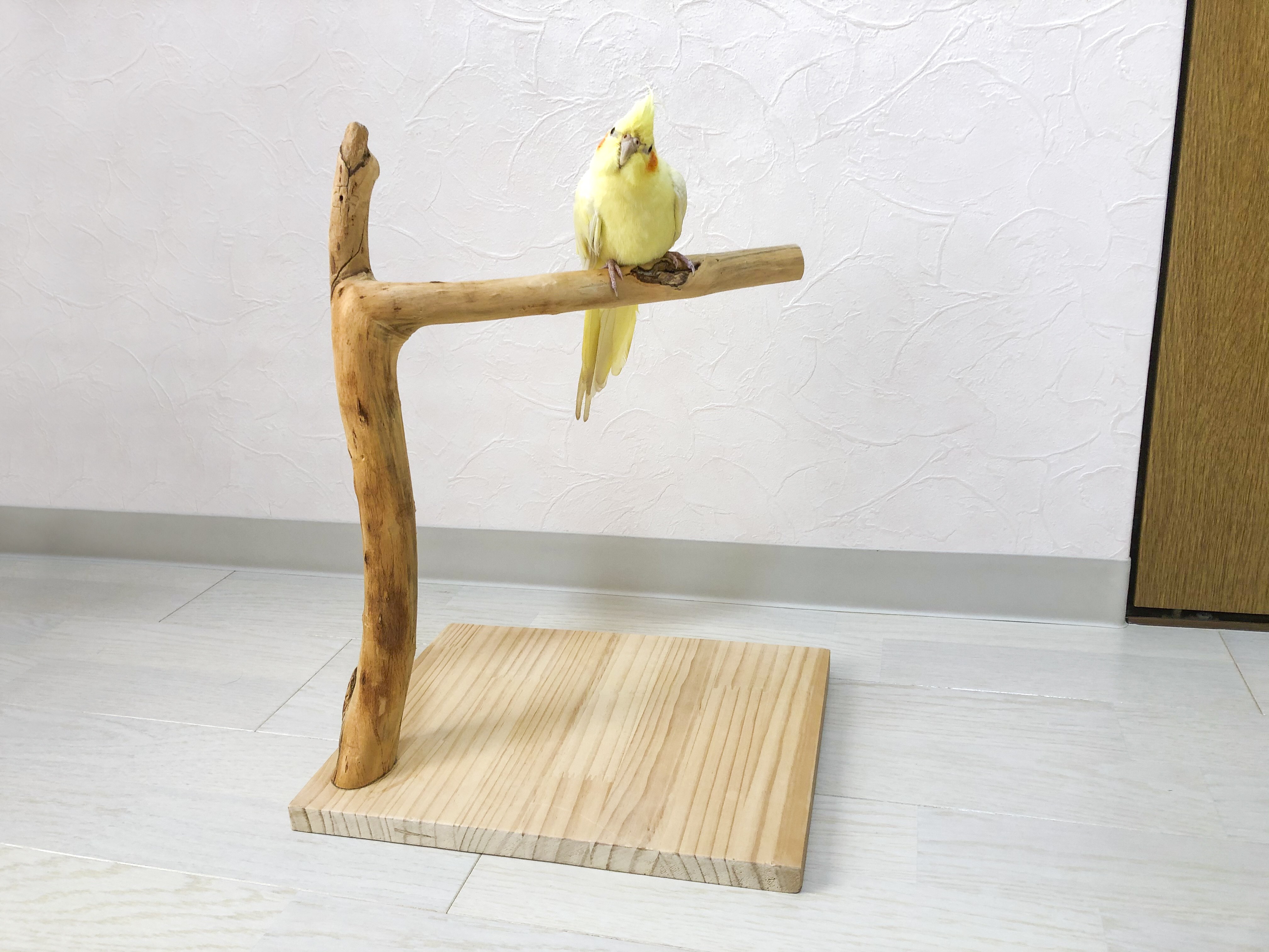 【小鳥〜中型鳥さん用】Vogel-Ruh ♫バードスタンド 流木の止まり木】小鳥 バードスタンド 小型、中型インコに