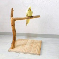 【流木の止まり木】小鳥 バードスタンド 小型、中型インコに！程よい高さと太さ！ 1枚目の画像