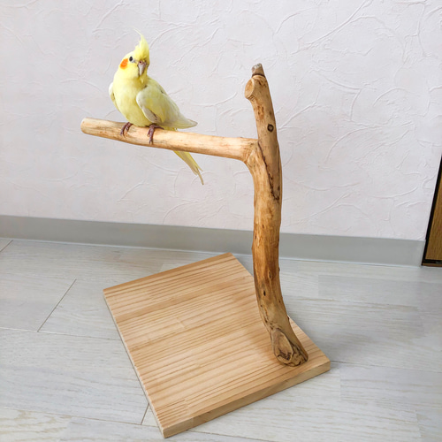 【中型鳥さん用】オカメさんにぴったりな♡バードスタンド 中型鳥さん用】オカメさんにぴったりな♡バードスタンド