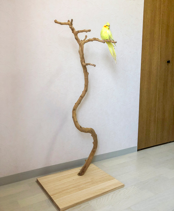 【流木の止まり木】高さ100cm超えの大型バードスタンド　鳥　インコ止まり木 10枚目の画像