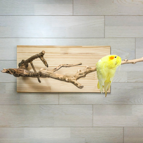 おやつ時間が楽しい流木止まり木♪ 流木止まり木】高さ約95cm！鳥 インコ 高さのあるスマートな