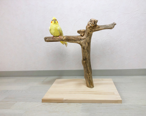 T56 止まり木 パーチ 門型 中型のインコちゃん用 スタンド 止まり木