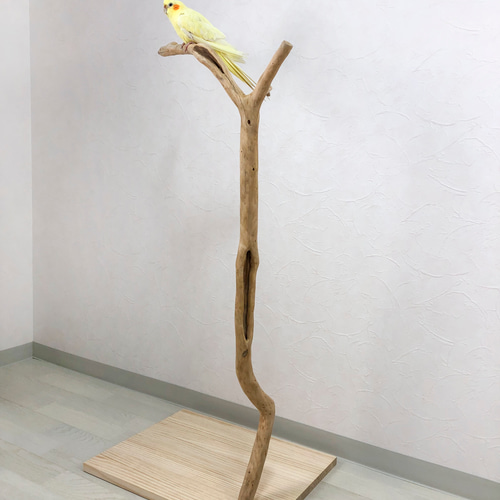 流木止まり木】高さ約98cmの大型バードスタンド 鳥 インコ止まり木