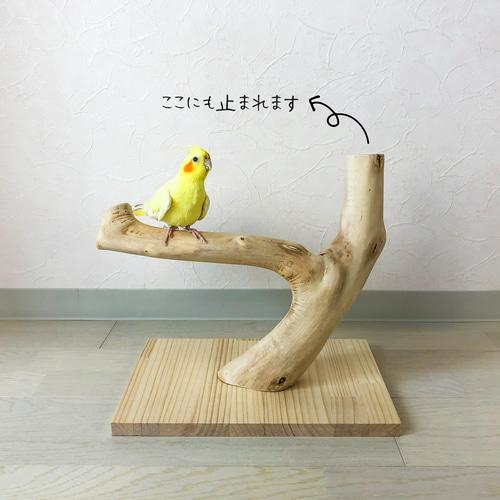 （専用）流木のカップ付き止まり木エサカップ付き卓上パーチバードスタンド 専用）流木のカップ付き止まり木エサカップ付き卓上パーチバードスタンド