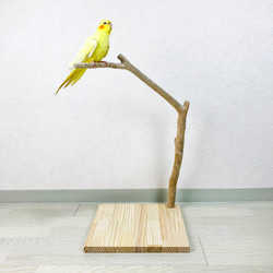 【流木止まり木】小鳥 バードスタンド！程よい高さとシンプルな止まり木 1枚目の画像