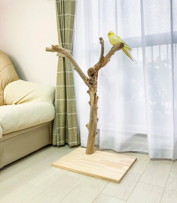 流木止まり木】荒々しい迫力あるフォルム！鳥 中型〜大型インコ