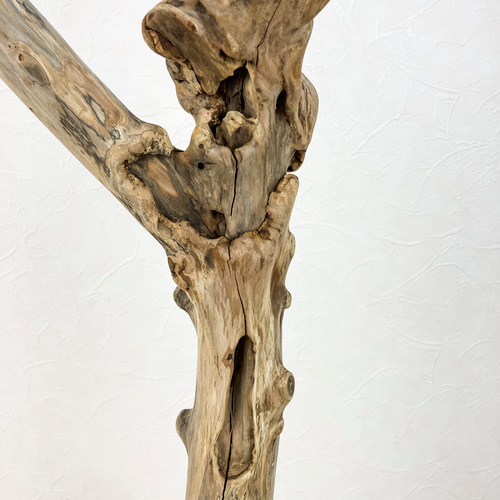 流木止まり木】荒々しい迫力あるフォルム！鳥 中型〜大型インコに