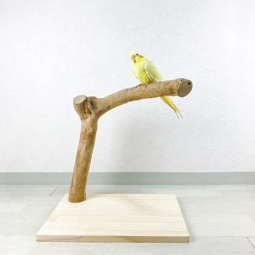 流木の止まり木】バードスタンド 中型・大型インコに！使いやすく安定