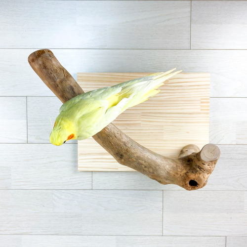 流木の止まり木】バードスタンド 中型・大型インコに！使いやすく安定