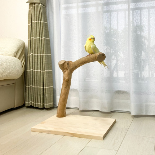 流木の止まり木】バードスタンド 中型・大型インコに！使いやすく安定