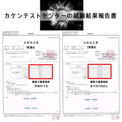 高性能 新次元マスク『全能未来』～分子のチカラで微粒子を99％以上キャッチ～ナノファイバーフィルター搭載 7枚目の画像