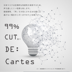 対空間∞DE:Cartes（デカルト）―微粒子99％フィルター内蔵ダイヤモンド形状マスク― 2枚目の画像