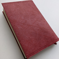 ☆新色☆タイベック ブックカバー文庫サイズ(レッド) ハヤカワも