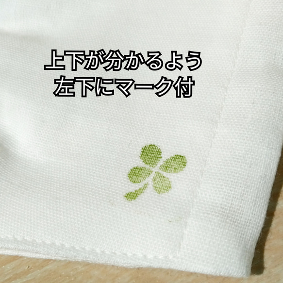 立体布マスク(Ｌサイズ)☆緑×白ドット 3枚目の画像