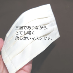 もんちゃん様   抗ウイルス生地とアレルギー対策生地でつくったマスク 2枚目の画像