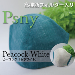 即納★送料無料　PSNYピーコック(＆ホワイト) 　花粉フィルター入り 立体マスク 大人用 リバーシブル 1枚目の画像