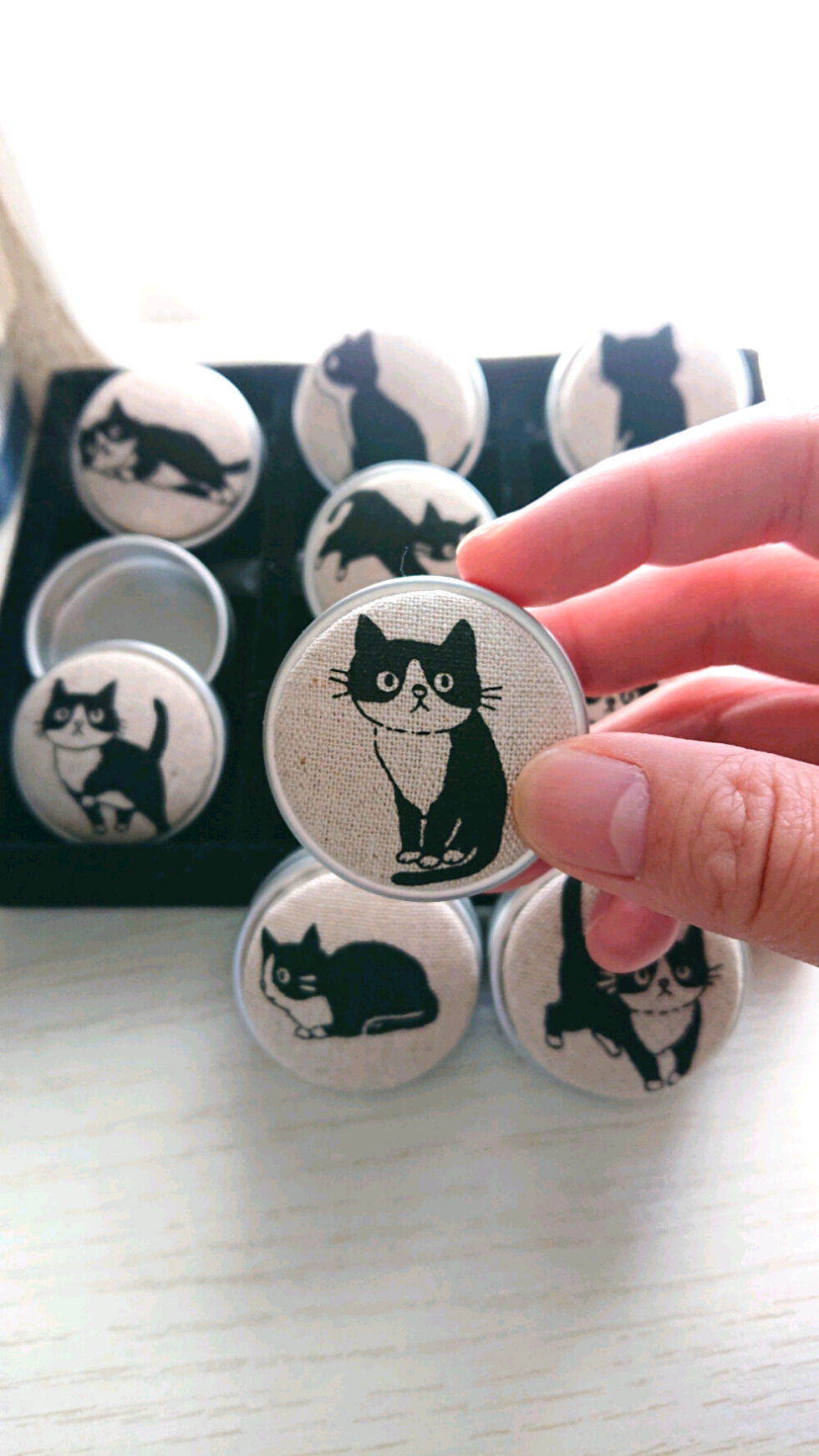 ピルケース 「はっちゃんのお姉さん専用」ハンドメイド