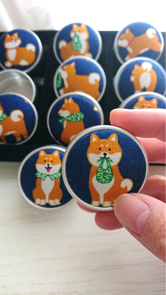 コロンとかわいい小さな小物入れ☆色んなポーズの柴犬ちゃん☆二