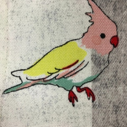 鳥 お得 2枚セット Wガーゼ 秋 マスク 内側Wガーゼ (636)  綿100 可愛い セキセイインコ オカメ ボタン 5枚目の画像