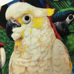Creema限定  鳥 マスク 大判 内側Wガーゼ 綿100 (1224) 白色 オウム ボタンインコ インコ  インコ 5枚目の画像