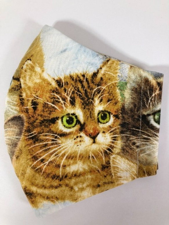 【SALE】 インポート 子猫 立体 マスク (1295) 内側Wガーゼ 可愛い ネコ 綿100 2枚目の画像