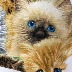 【SALE】 インポート 子猫 立体 マスク (1295) 内側Wガーゼ 可愛い ネコ 綿100 5枚目の画像