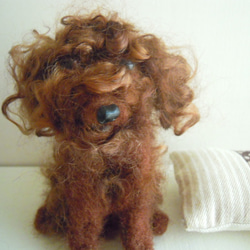 羊毛フェルト　トイプードル　クルクルちーちゃん❗プロフ必読❗ 1_fa6d37a808dab3a27fd518edca57