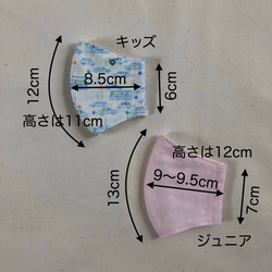 選べる2枚　子供用立体マスク　新学期準備　キッズ　ジュニア 3枚目の画像