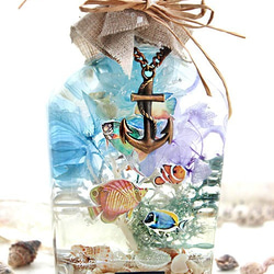 海のハーバリウム　貝と熱帯魚とヴィンテージパーツ付き 　錨アンカーiタイプ 7枚目の画像