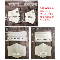 【受注生産】フィルターポケット付 小池都知事風マスク 《細ラインタイプ》 7枚目の画像