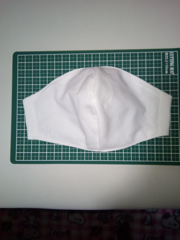 新作　送料無料　シンプルデザイン　普段使い　立体マスク　大人用　白　1枚 1枚目の画像