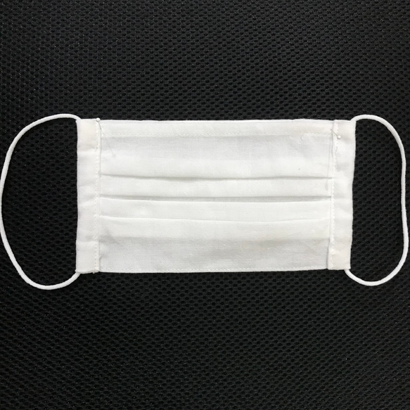 ハンドメイドマスク　フィルターポケット付き　2枚セット 5枚目の画像
