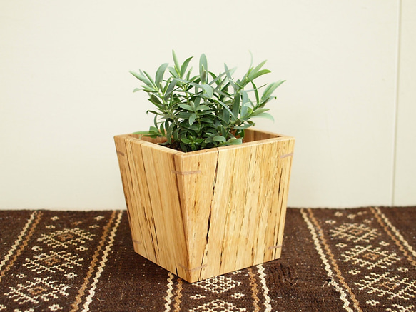 木製 鉢カバー（3号鉢用）樫材　植木鉢カバー スポルテッド 1枚目の画像