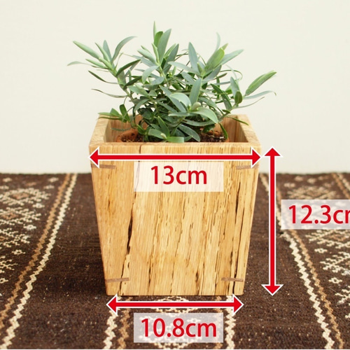 木製 鉢カバー（3号鉢用）樫材 植木鉢カバー スポルテッド 一輪挿し