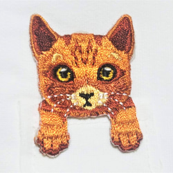 立体マスク　布マスク　大人用　猫柄　茶トラ②　ポケット猫　刺繍アップリケ付　 3枚目の画像