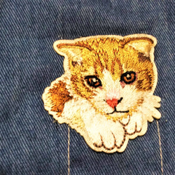 夏用　立体マスク　大人用　猫柄　スコティッシュフォールド　ポケット猫　刺繍アップリケ付　保水涼感加工　軽い付け心地 2枚目の画像