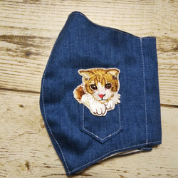 夏用　立体マスク　大人用　猫柄　スコティッシュフォールド　ポケット猫　刺繍アップリケ付　保水涼感加工　軽い付け心地 3枚目の画像