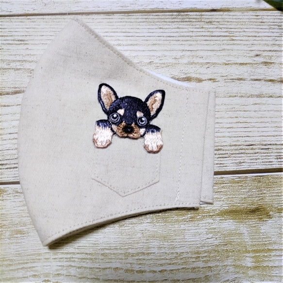 立体マスク　大人用　犬柄　チワワ　刺繍アップリケ　マスクストッパー付き 2枚目の画像