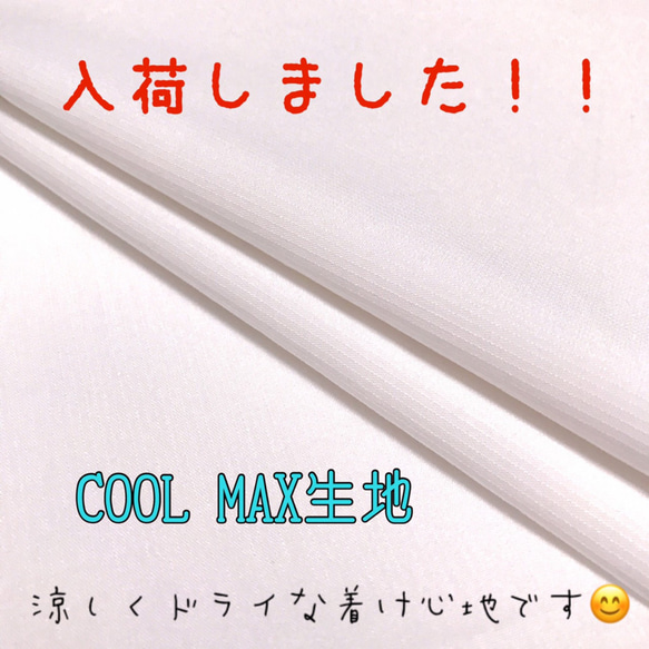 【冷感/夏用】ひんやり　クール　蒸れにくい　クールマックス　手作り　マスク　立体　ノーズワイヤー付　紐付き 2枚目の画像