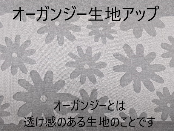 ★送料無料★プリーツマスク オーガンジーレース/白 さらさらガーゼ使用 4枚目の画像