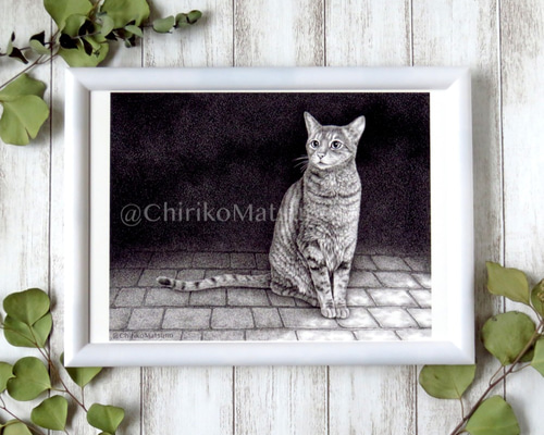 ふんわり子猫のまなざし(鉛筆画)(A4サイズ)(額無し) A4サイズ複製画・ネコ 絵画 松野ちり子 通販 11947464｜Creema