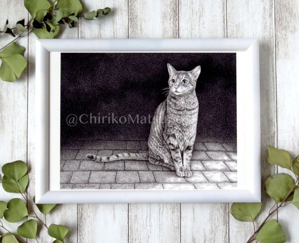 ふんわり子猫のまなざし(鉛筆画)(A4サイズ)(額無し) ふんわり子猫のまなざし(鉛筆画)(A4サイズ)(額無し)の通販 by