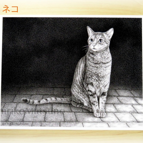 ふんわり子猫のまなざし(鉛筆画)(A4サイズ)(額無し) ふんわり子猫のまなざし(鉛筆画)(A4サイズ)(額無し)の通販 by