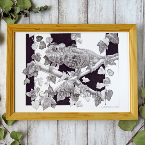 A4サイズ複製画・カメレオン 絵画 松野ちり子 通販 11984645